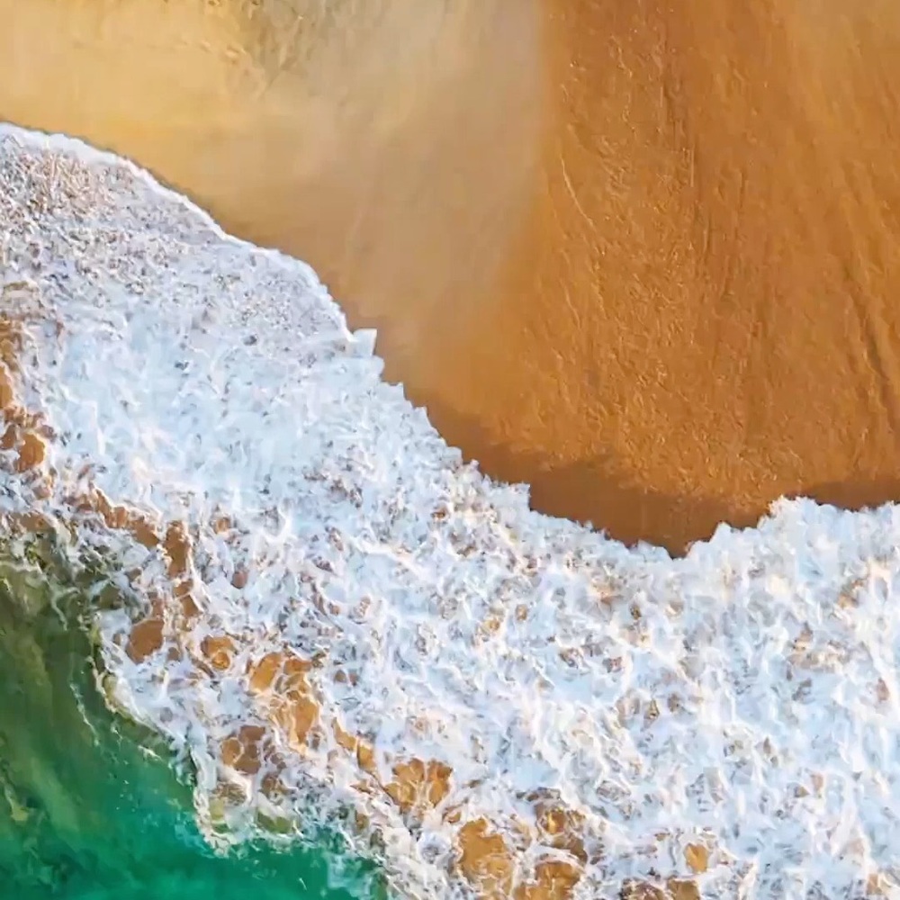 Meet your Posher, Izzy